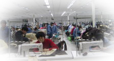 Domestic sewing plant